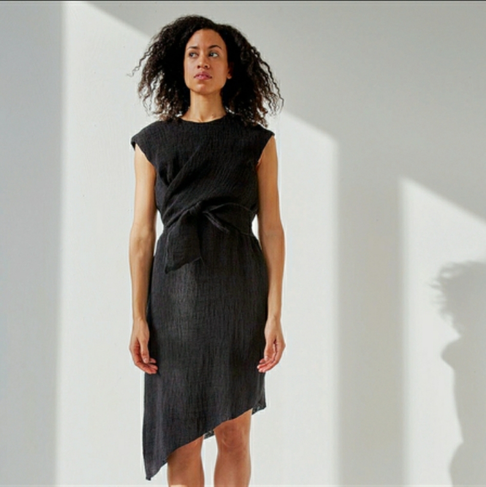 Ajaie Alaie Dos Cosmos Dress in Ink